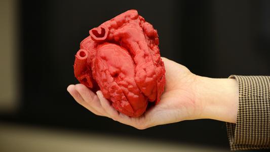 3D spausdinimo širdis 3D printing heart
